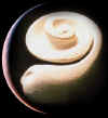 03-10.jpg (17827 byte)