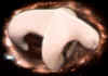 05-01.jpg (20994 byte)