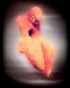 06-01.jpg (17455 byte)
